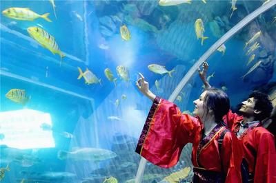 水族馆怎么建的：水族馆建设需要考虑多种因素和吸引游客并教育水族馆建设 水族馆百科（水族馆加盟） 第2张