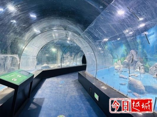 水族馆开门了吗最近：上海水族馆开放状态调查：2024年8月份正式对外开放 水族馆百科（水族馆加盟） 第3张