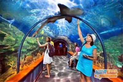 水族馆加盟需要多少钱：水族馆加盟品牌对比分析：水族馆加盟的费用范围较广 水族馆百科（水族馆加盟） 第5张