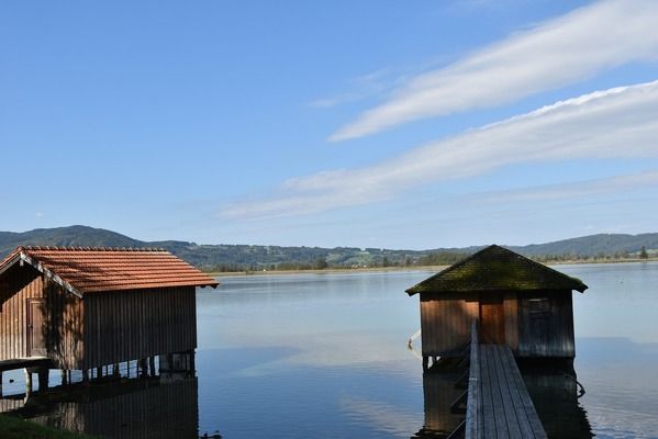 伊春水族批发市场：伊春市最大的批发市场 全国观赏鱼市场 第5张