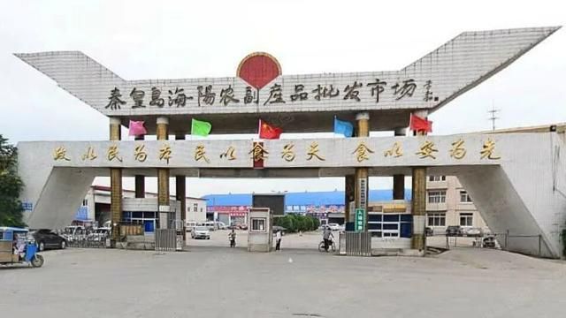 秦皇岛水族批发市场：秦皇岛水族批发市场在哪里秦皇岛鱼缸水族用品批发市场在哪里 全国观赏鱼市场 第6张