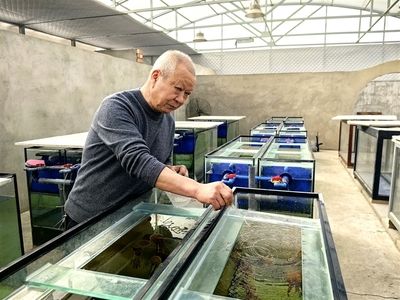 伊犁哈萨克自治州水族馆：伊犁哈萨克自治州年年有鱼水族馆