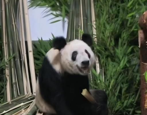 海北藏族自治州水族馆：北海北藏族自治州旅游攻略