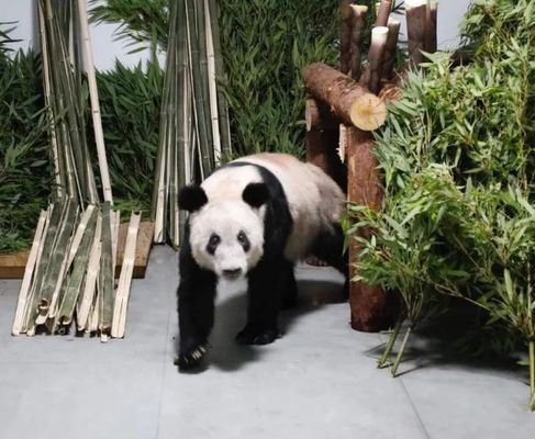 海北藏族自治州水族馆：北海北藏族自治州旅游攻略 全国观赏鱼市场 第5张