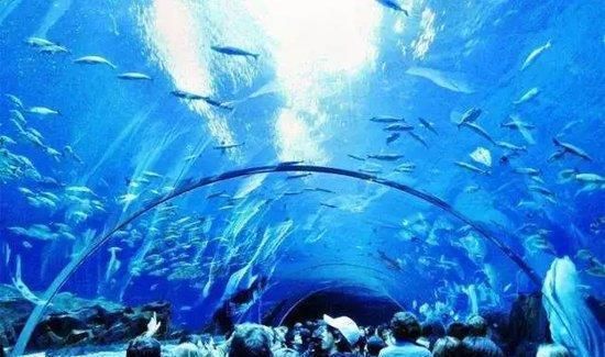 水族馆运营成本：水族馆的运营成本 水族馆百科（水族馆加盟） 第5张