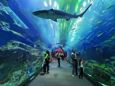 水族馆适合开到哪里：水族馆的开设地点应考虑多种因素包括目标受众、地理位置