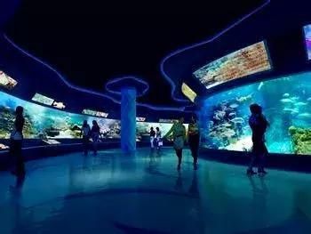 水族馆适合开到哪里：水族馆的开设地点应考虑多种因素包括目标受众、地理位置