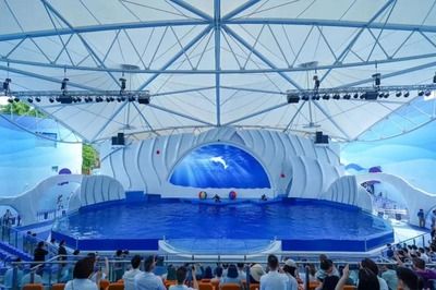 水族馆适合开到哪里：水族馆的开设地点应考虑多种因素包括目标受众、地理位置 水族馆百科（水族馆加盟） 第5张