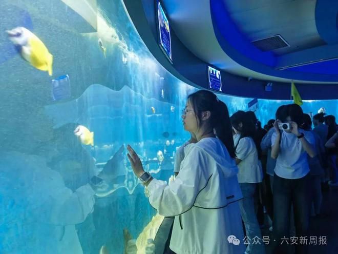 六安水族馆：六安水族馆六安水族馆六安水族馆