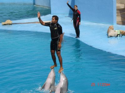 水族馆是干什么的什么意思：参观水族馆的环保意义是什么 水族馆百科（水族馆加盟） 第4张