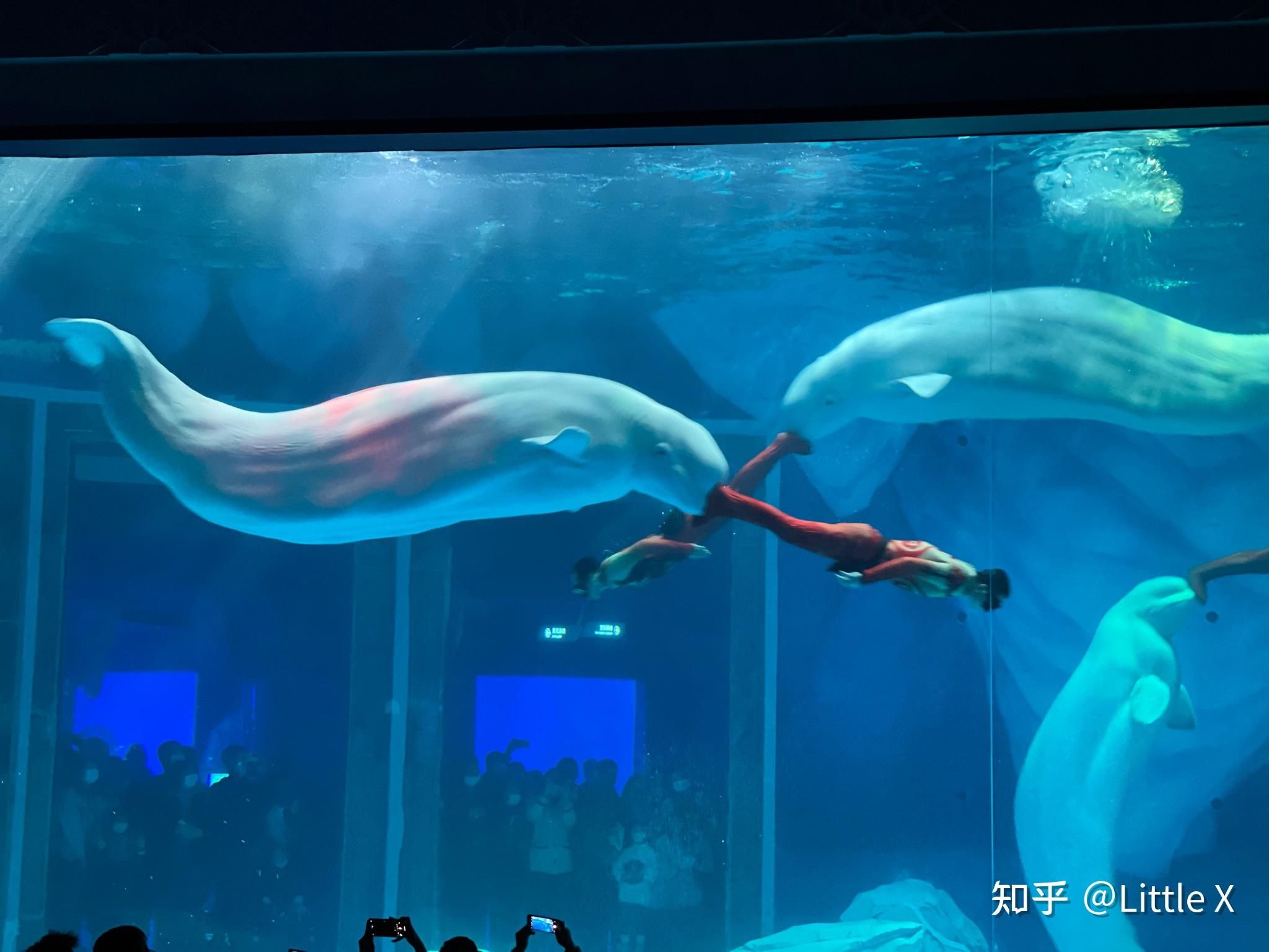 水族馆好玩吗知乎：三亚水族馆游玩攻略