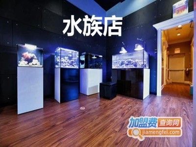 水族馆加盟店有哪些项目呢：水族馆加盟店盈利模式分析