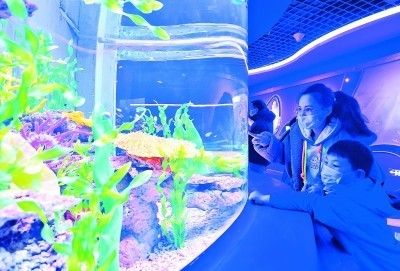 水族馆运营管理：水族馆的运营管理 水族馆百科（水族馆加盟） 第1张