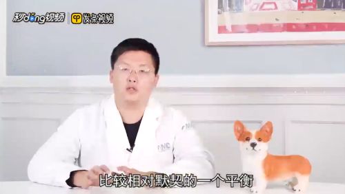 猪鼻龟一公一母可以混养吗视频：猪鼻龟一公一母可以混养吗 猪鼻龟百科 第4张