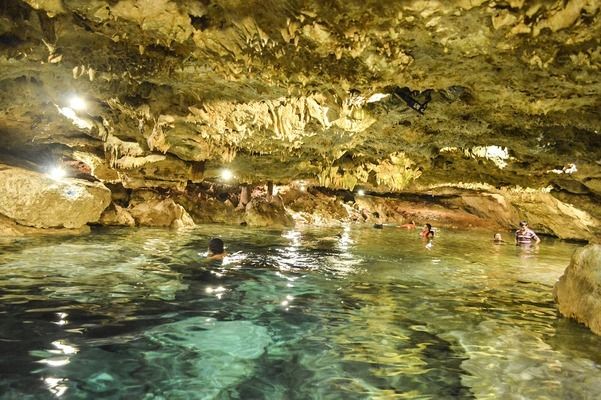 邵阳水族批发市场：邵阳水族批发市场在哪里 全国观赏鱼市场 第7张