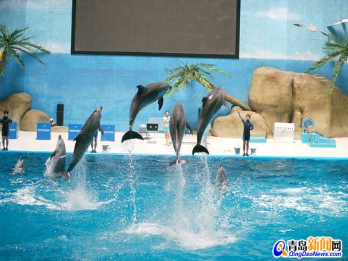 开一家水族馆能挣钱吗：开一家水族馆是否能挣钱 水族馆百科（水族馆加盟） 第4张