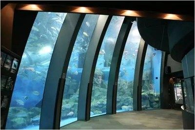 水族馆靠什么盈利：水族馆如何制定水族馆门票价格策略 水族馆百科（水族馆加盟） 第4张