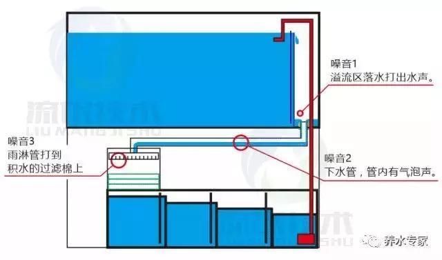 底滤鱼缸使用方法视频：底滤鱼缸的使用方法 鱼缸百科 第5张