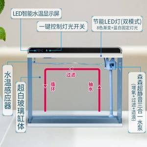 25公分金龙鱼多久爬背正常：关于金龙鱼爬背的问题 水族问答 第1张