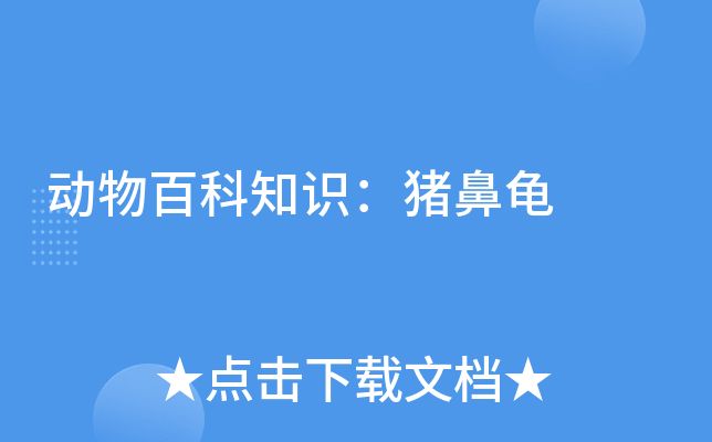 猪鼻龟为什么那么贵？：猪鼻龟为什么那么贵 猪鼻龟百科 第8张