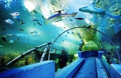 水族馆设备有哪些：水族馆智能温控系统介绍水族箱专用胶水使用技巧 水族馆百科（水族馆加盟） 第4张