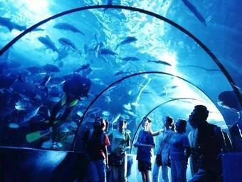 运城水族馆：运城市盐湖区西城猛战水族馆亲子活动体验运城海洋馆