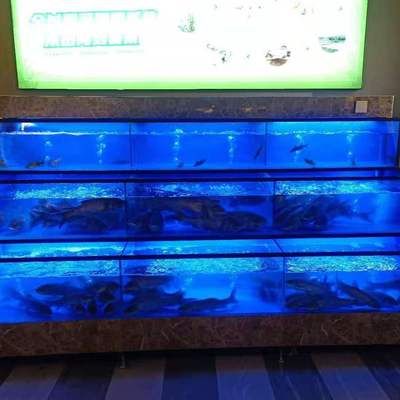 水族馆鱼缸多层制作方法：关于水族馆鱼缸多层制作方法 水族馆百科（水族馆加盟） 第2张