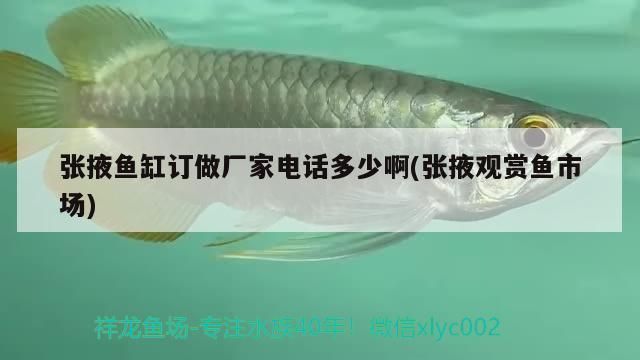 张掖观赏鱼批发市场：张掖市观赏鱼批发市场 全国观赏鱼市场 第8张