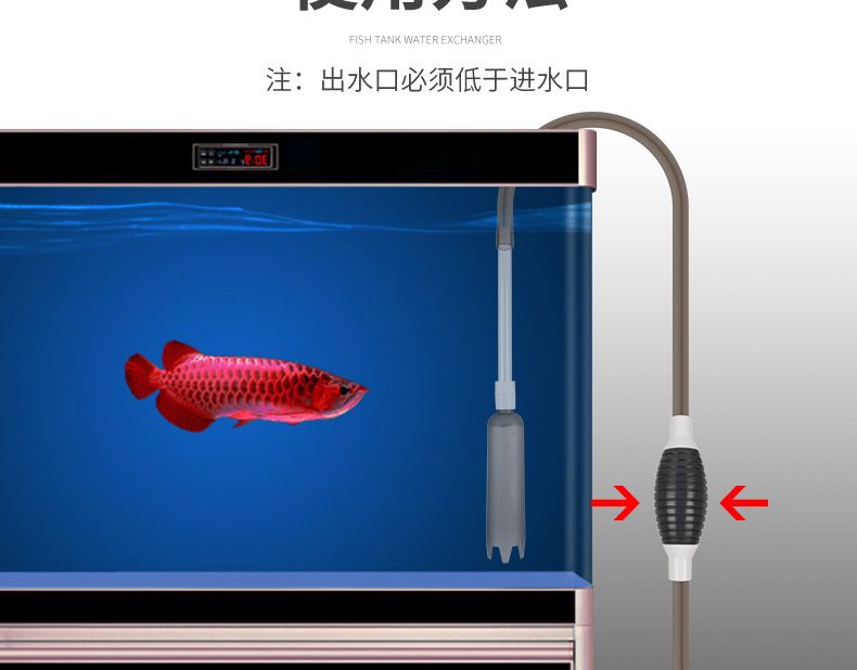 鱼缸虹吸图片：关于鱼缸虹吸的详细解释和工作原理图解