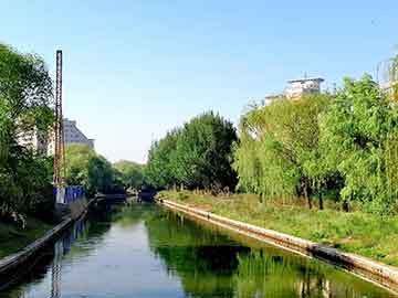 江门水族批发市场：江门最大的海鲜批发市场在哪里 全国观赏鱼市场 第7张