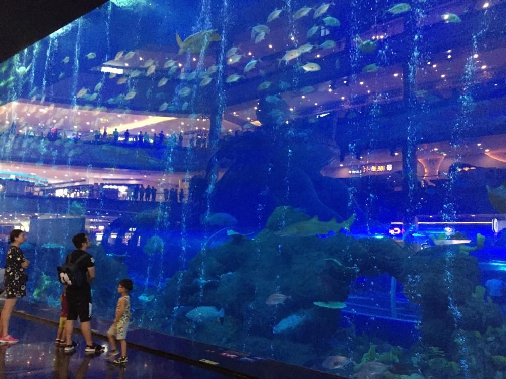 白山水族馆：白山市浑江区聚龙阁水族馆