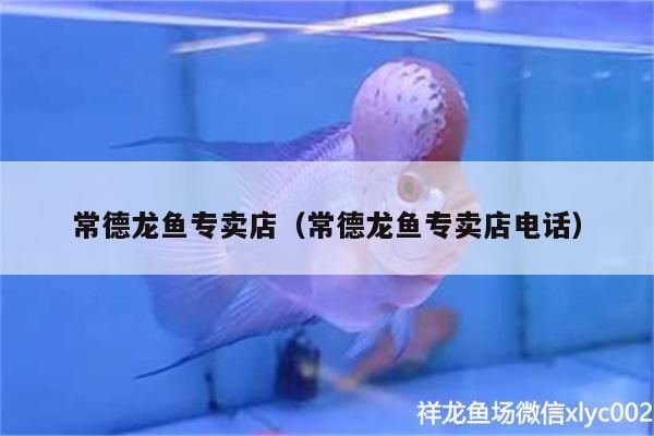 黔东南苗族侗族自治州龙鱼专卖店 全国观赏鱼市场 第6张