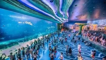 水族馆需要投资多少钱呢现在：开个中小型水族馆的初始投资在几十万元到数百万元