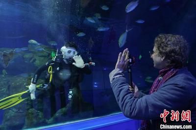 水族馆利润大吗？：上海海洋水族馆门票定价策略水族馆门票定价策略 水族馆百科（水族馆加盟） 第4张