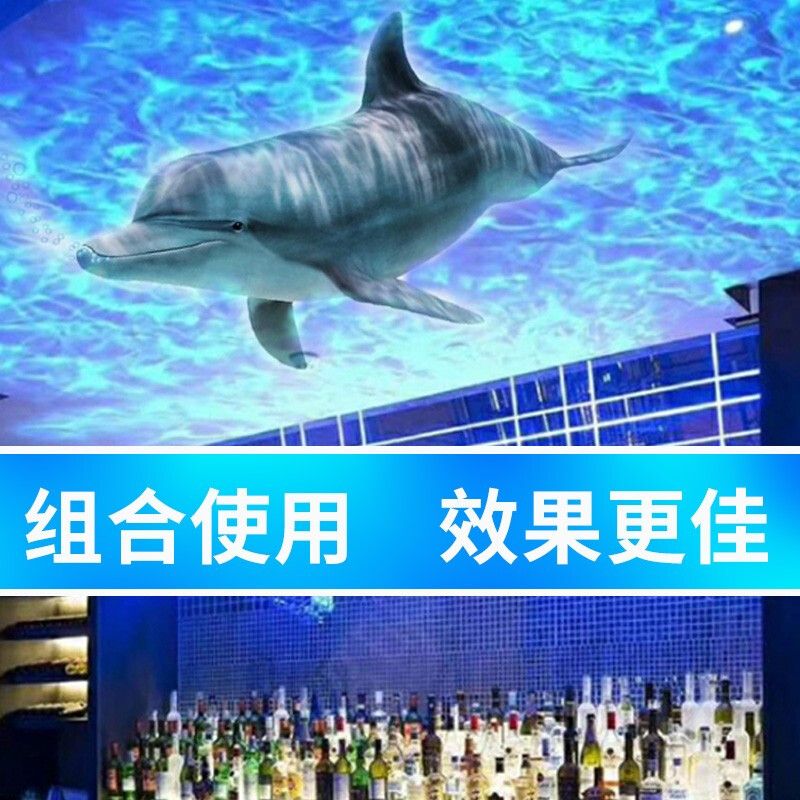 水族馆的名称：北京海洋馆水族馆名称介绍 水族馆百科（水族馆加盟） 第4张