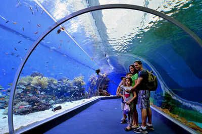 水族馆的名称：北京海洋馆水族馆名称介绍 水族馆百科（水族馆加盟） 第5张