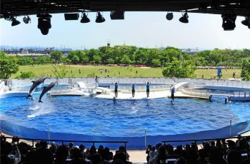 水族馆官网购票流程：上海海洋水族馆官网购票流程 水族馆百科（水族馆加盟） 第5张