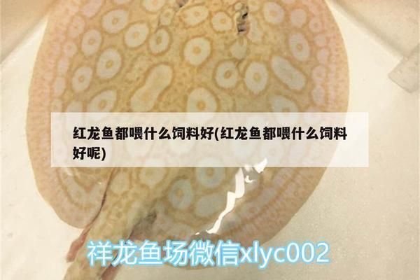 可丽爱鱼缸能用几年：可丽爱鱼缸使用寿命受多因素如材料质量、水质管理、维护频率等影响 鱼缸百科 第4张