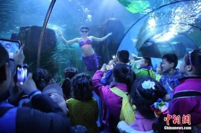 水族馆有什么工作：动物医生的疾病治疗方法介绍水族馆工作人员的疾病治疗方法介绍