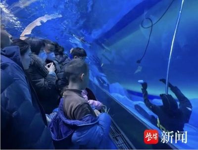 水族馆有什么工作：动物医生的疾病治疗方法介绍水族馆工作人员的疾病治疗方法介绍