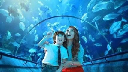 上饶水族馆：上饶旅游攻略之健走步杨家湖