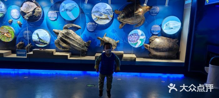 水族馆开业广告宣传语：亲子游水族馆特色展览介绍：亲子游水族馆优惠票价信息 水族馆百科（水族馆加盟） 第1张