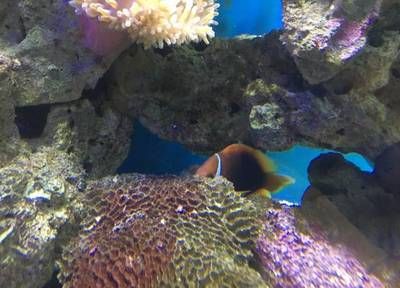 福州水族馆：福州水族馆海洋生物科普多功能大型生态馆排行榜福州海洋馆排行榜