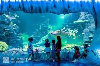 在水族馆的英语：全球著名水族馆排名,水族馆设计的创新趋势创新趋势