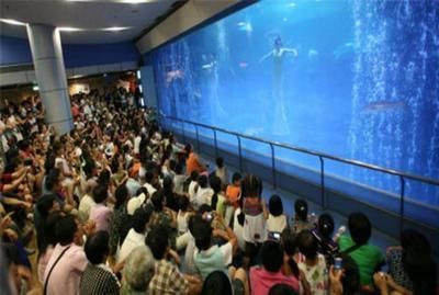 常德水族批发市场：常德市水果批发市场在哪里