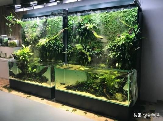 如何处理鱼缸换水后的水质波动：如何建立稳定的鱼缸生态系统，鱼缸水质检测的具体方法 鱼缸百科 第3张