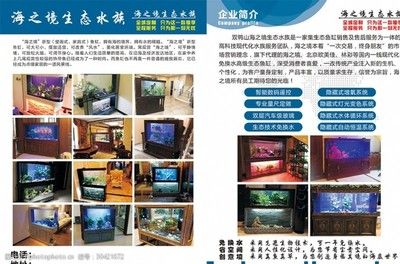 双鸭山水族批发市场：双鸭山水族批发市场在哪里