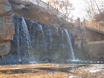 南平观赏鱼批发市场：南平水族批发市场 全国观赏鱼市场 第5张