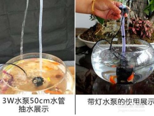 水族馆投资需要多少钱一个月呢：开设一个水族馆的投资成本是多少