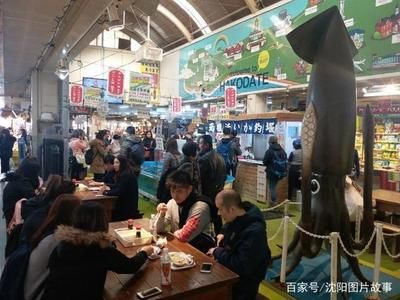 沈阳水族批发市场：沈阳水族批发市场在哪里